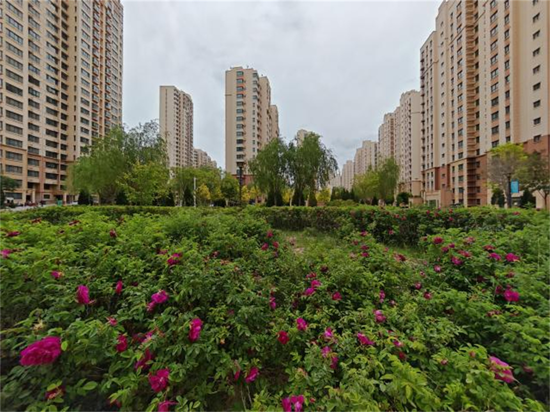 “見縫插綠 ” 扮靚社區